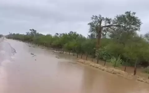 Las lluvias fueron breves pero inundaron parte del Chaco paraguayo