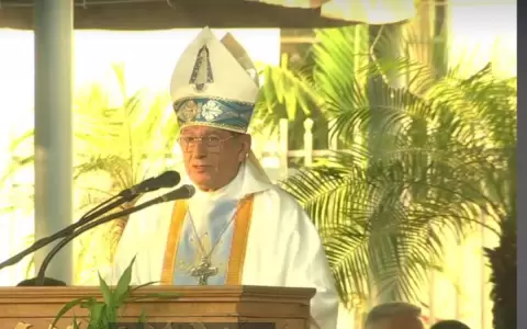 Homil�a en Caacup�: "Desde fuera est�n atacando a la familia  con el poder pol�tico, financiero y con las ideolog�as"