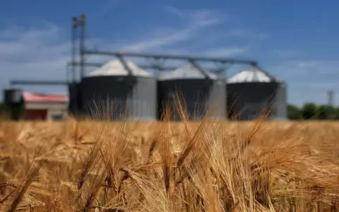 Paraguay cierra el a�o con una marcada recuperaci�n agropecuaria