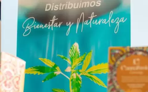Distribuidora de productos de cannabis industrial conquista el mercado paraguayo