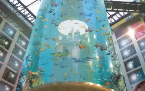 Estall� el mayor acuario cil�ndrico del mundo y destruy� el vest�bulo de un hotel en Berl�n