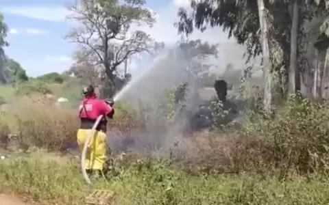 Reportan incendio de pastizal en la zona de la Costanera Norte