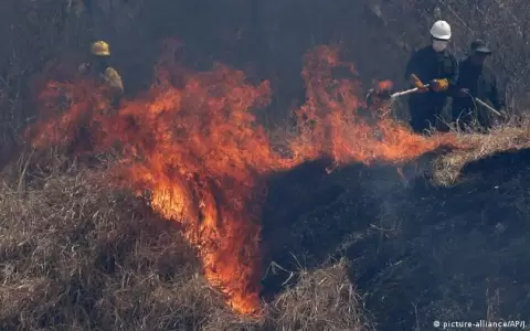 Bolivia: miles de familias son afectadas por incendios forestales