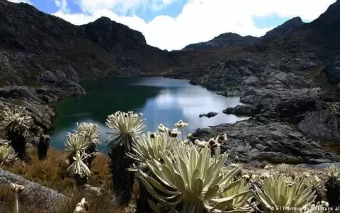El agua es un derecho humano: ��Qui�n puede estar en desacuerdo?�