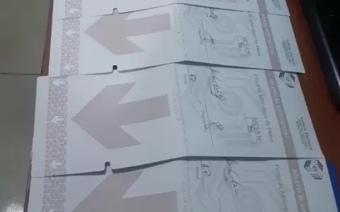 Reportan mayor cantidad de denuncias por inducci�n al voto e incautaci�n de papeletas