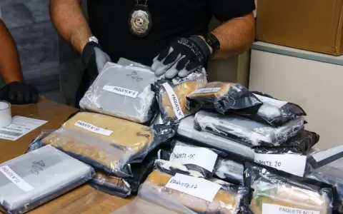Detectan droga camuflada en encomiendas que llegaron de EE. UU.