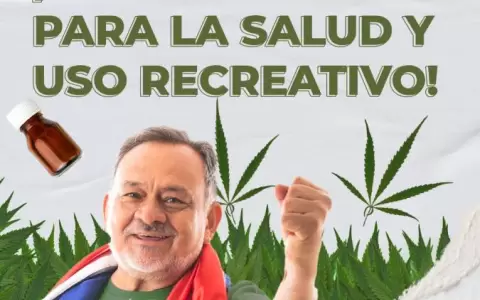 Pereira plantea cultivar marihuana para uso medicinal y recreativo