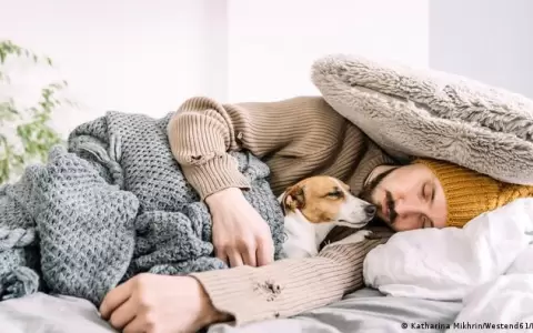 Compartir cama con perros podr�a ser peligroso en invierno, advierten expertos