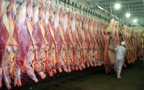 Exportaciones de carne aumentaron en volumen y valor durante el 2022