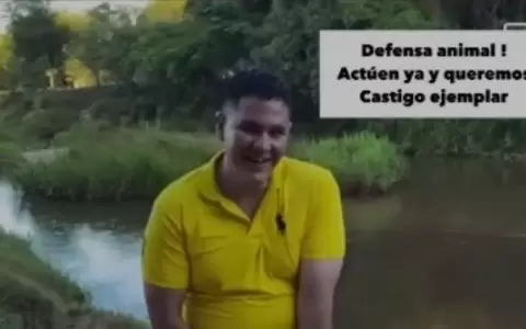 Defensa Animal pidi� prisi�n para maltratadores de animales viralizados en redes