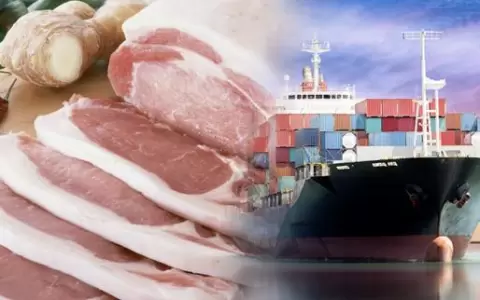 Efecto China: env�os de carne porcina se redujeron 35 % en el 2022