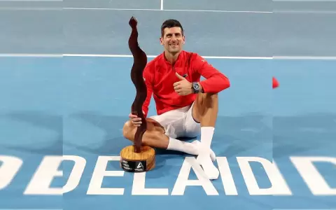 Djokovic consigue el t�tulo 92 de su carrera y ya piensa en Australia