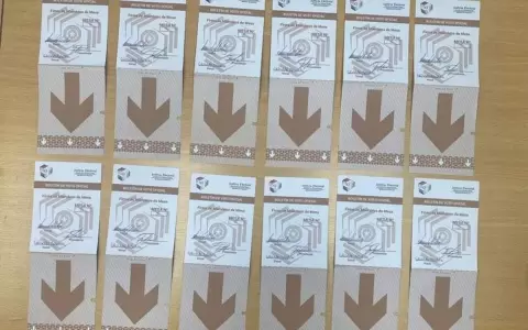 Fiscal�a agrega nuevo imputado por falseamiento de datos durante las internas partidarias