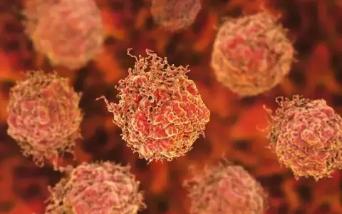 Desde f�rmacos contra el c�ncer hasta la edici�n de genes: los 11 ensayos m�s prometedores de 2023