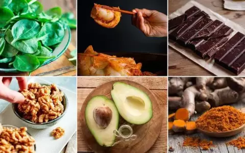 C�mo impacta en la salud del cerebro una dieta alta en grasas