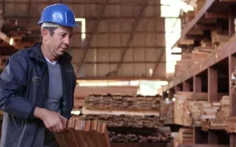 Banco holand�s sondea oportunidades de negocios en el sector forestal de Paraguay