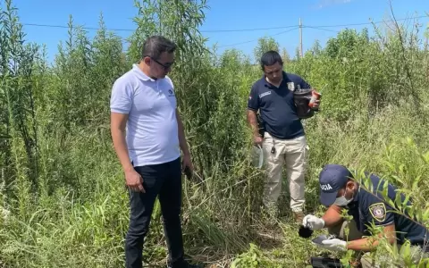Encuentran partes de un veh�culo y un celular en la zona donde hallaron un cuerpo calcinado