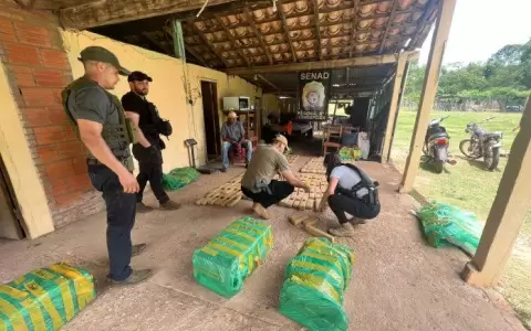 Senad detecta m�s de 200 kilos de marihuana ocultos en predio rural de Concepci�n
