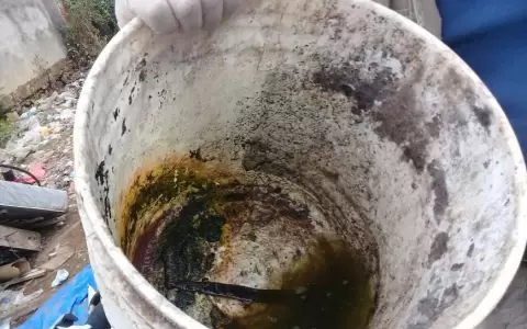 Reportan considerable aumento de casos de chikungu�a