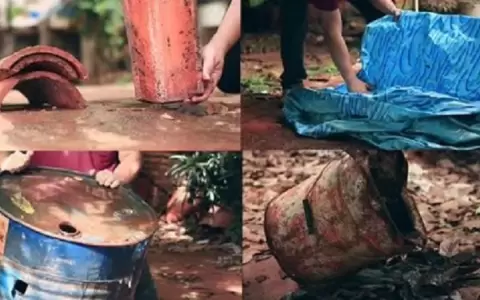 Instan a eliminar criaderos de mosquitos tras las �ltimas lluvias