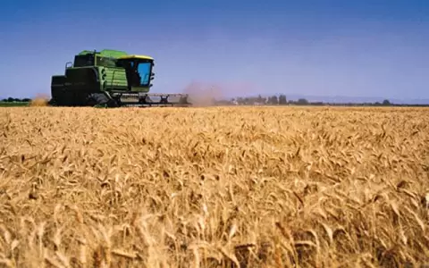 Precios de los alimentos aumentaron 14,3 % seg�n la FAO