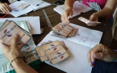 Nuevo gobernador: TSJE juzgar� las actas electorales de comicios en Guair�