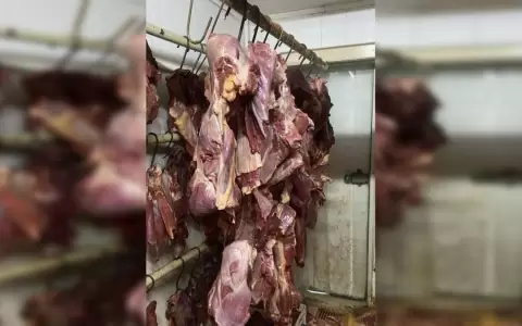 Intervienen carnicer�as que comercializaban carne de caballo como de vaca