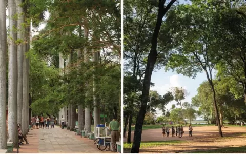 �Land Art" en el Parque Caballero: convocatoria abierta