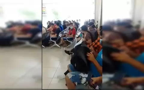 Pacientes acuden en masa: hospitales en estado de alerta ante casos de chikungu�a