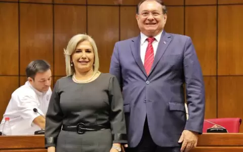 Senado designa a un colorado oficialista y una liberal como representantes ante el JEM
