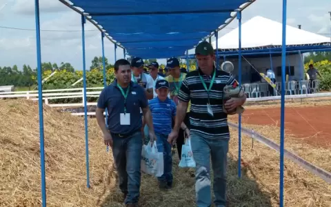 Expo Syngenta, todo sobre tecnolog�a agr�cola en el Alto Paran�