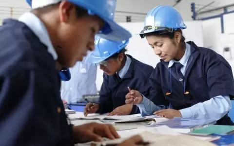 Ministerio del Trabajo ofrece carreras t�cnicas gratuitas