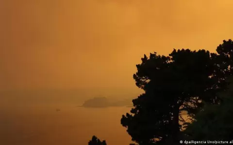 Incendios forestales en Chile, sin control: 24 muertos y m�s de 280 focos activos