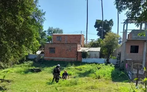 Registran enfrentamiento en Puerto Elsa entre polic�as y presuntos microtraficantes