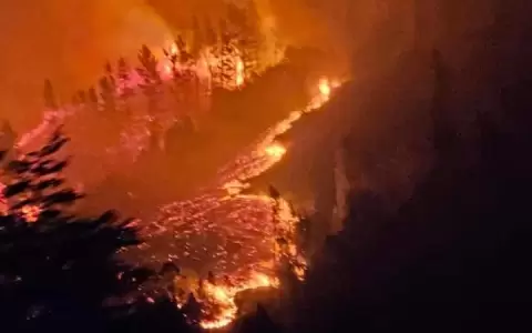 Gobierno paraguayo ofrece su ayuda a Chile para enfrentar ola de incendios que afecta al pa�s