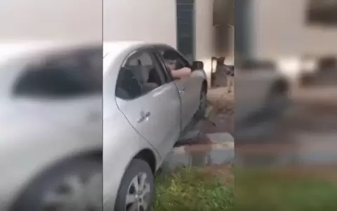 Polic�as alcoholizados causaron accidente en Luque