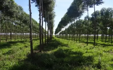 Infona facilita el acceso a informaci�n geogr�fica y catastro