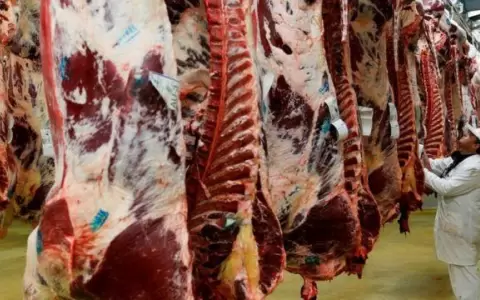 Brasil reporta r�cord de exportaci�n de carne vacuna en enero