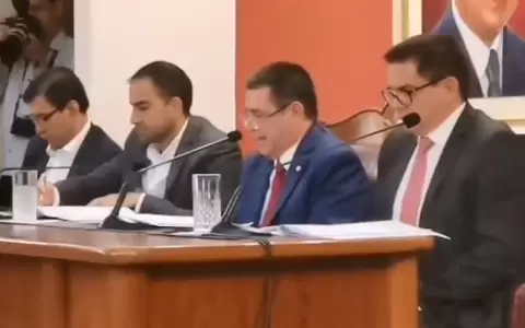 Baruja dice que est� permitido delegar funciones del presidente de la ANR