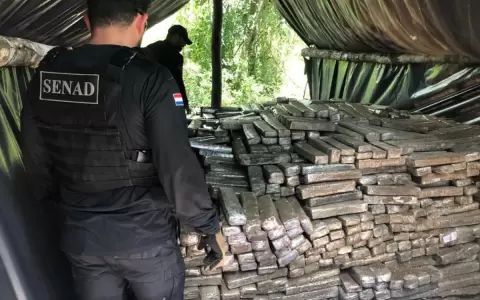 Concepci�n: desmantelan campamentos narcos e incautan casi 7 toneladas de marihuana
