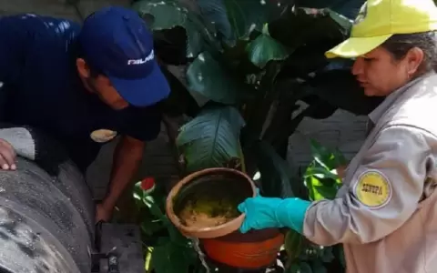 Senepa interviene cada vez m�s barrios de Asunci�n y Central