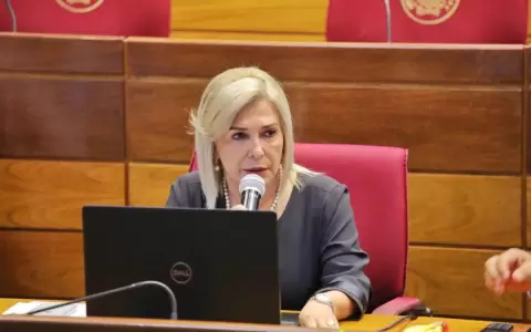 "No voy a apoyar la reelecci�n de Bogar�n en el JEM", dice senadora Hermelinda Alvarenga
