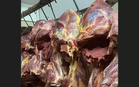 La carne equina posee libre comercio si re�ne los requisitos sanitarios necesarios
