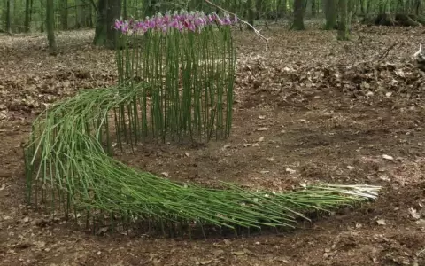�Qu� es el Land Art? Charla-taller en el Juan de Salazar