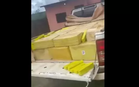Encuentran almacenamiento de marihuana en una vivienda