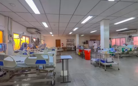 El 50 % de camas de terapia intensiva lo ocupan pacientes con chikungunya