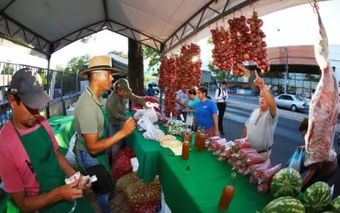 El MAG da inicio a ferias agropecuarias de familias productoras