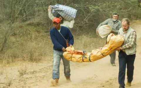 Hoy se estrena en cines �Boreal�, un filme de Federico Adorno