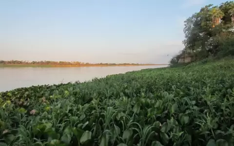 Dos hombres desaparecen tras paseo en canoa en el r�o Paraguay