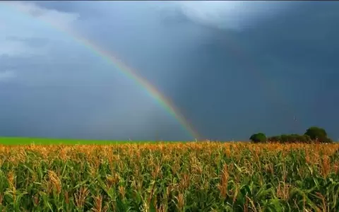 Jornada se presentar� con humedad y clima inestable